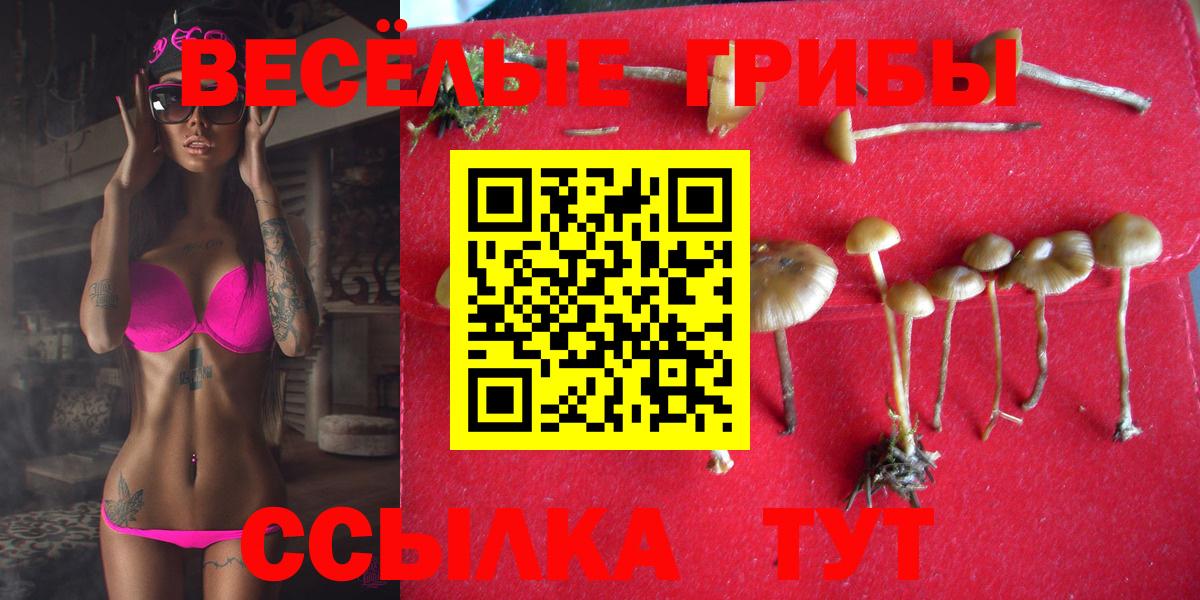 Псилоцибиновые грибы MAGIC MUSHROOMS Усть-Джегута