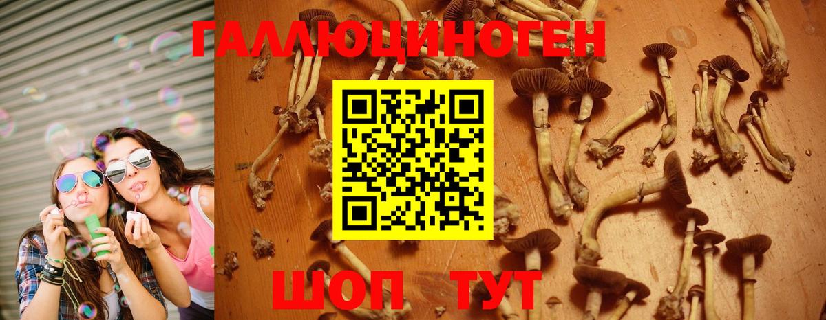 Усть-Джегута  Псилоцибиновые грибы Magic Shrooms  Вход с VPN 